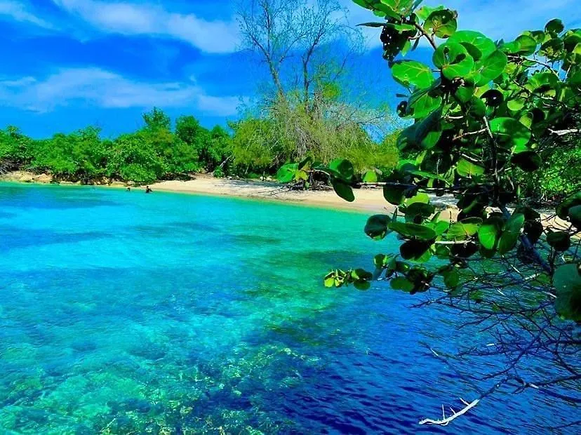 J Ochi Aparthotel Ocho Rios